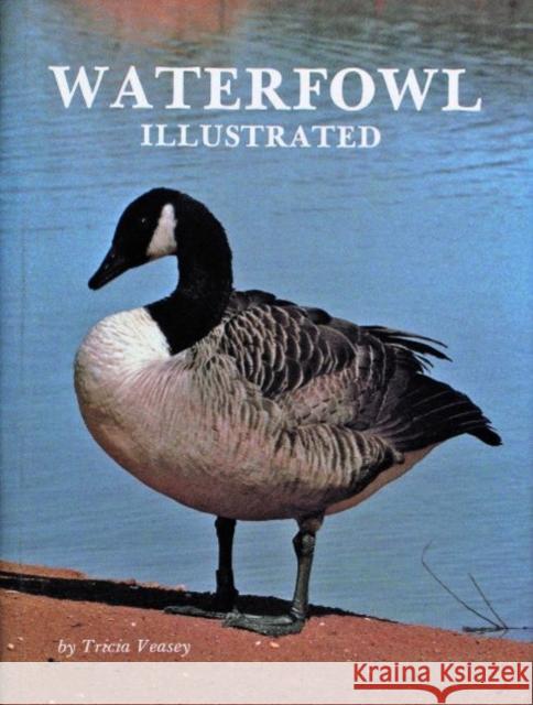 Waterfowl Illustrated Tricia Veasey 9780916838898 Schiffer Publishing - książka