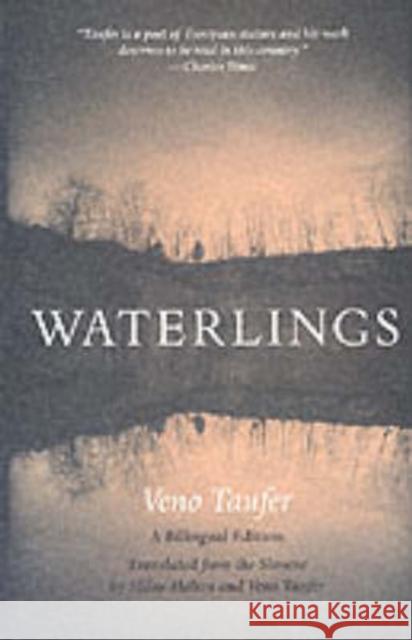 Waterlings Veno Taufer Milne Holton 9780810118102 Northwestern Publishing House - książka