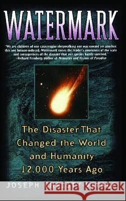 Watermark: The Disaster That Changed the World and Humanity 12,000 Years Ago Joseph Christy-Vitale 9780743491907 Simon & Schuster - książka