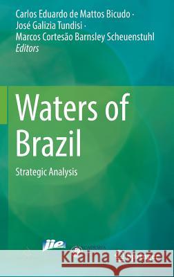 Waters of Brazil: Strategic Analysis De Mattos Bicudo, Carlos Eduardo 9783319413716 Springer - książka