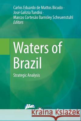 Waters of Brazil: Strategic Analysis De Mattos Bicudo, Carlos Eduardo 9783319823362 Springer - książka