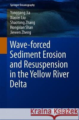 Wave-Forced Sediment Erosion and Resuspension in the Yellow River Delta Yonggang Jia Xiaolei Liu Shaotong Zhang 9789811370311 Springer - książka