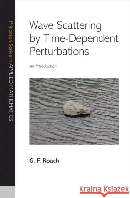 Wave Scattering by Time-Dependent Perturbations: An Introduction Roach, G. F. 9780691113401 Princeton University Press - książka