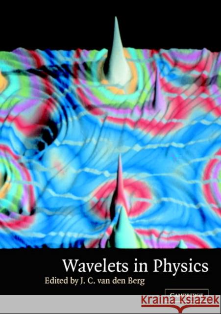 Wavelets in Physics J. C. Van Den Berg J. C. Va 9780521533539 Cambridge University Press - książka