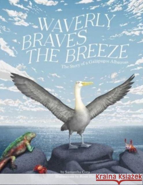 Waverly Braves The Breeze: The Story of the Galapagos Albatross (Friendship Books for Kids, Kids Book about Fear) Samantha Haas 9781735311562 Tra Publishing - książka
