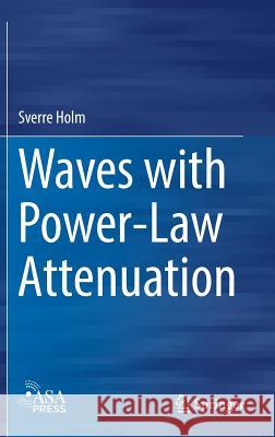 Waves with Power-Law Attenuation Sverre Holm 9783030149260 Springer - książka