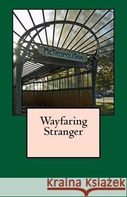 Wayfaring Stranger Nancy Lyn Sullivan 9781475006148 Createspace - książka