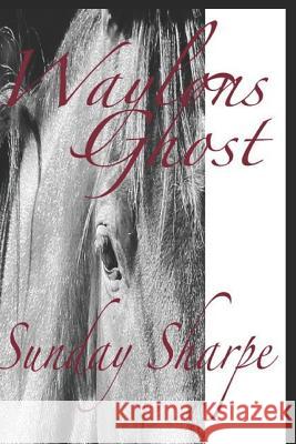 Waylons Ghost Penny Pattillo Sunday Sharpe 9781793495358 Independently Published - książka
