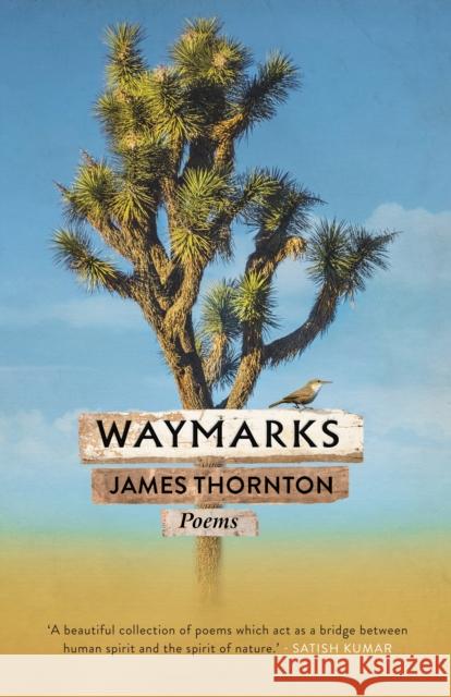 Waymarks James Thornton 9781909954519 Barbican Press - książka
