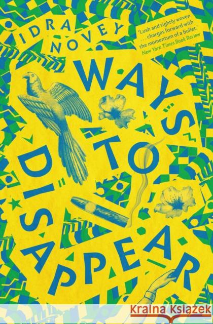 Ways To Disappear Idra Novey 9781907970825 Daunt Books - książka