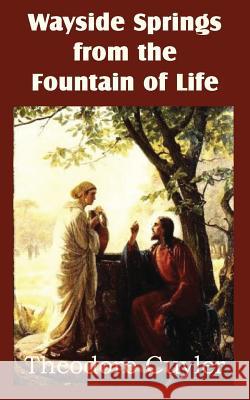 Wayside Springs from the Fountain of Life Theodore Cuyler 9781612038063 Bottom of the Hill Publishing - książka