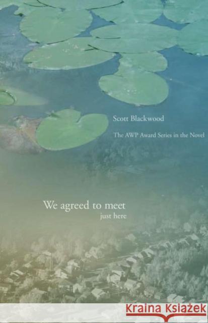 We Agreed to Meet Just Here Scott Blackwood 9781930974807 New Issues Poetry Press - książka