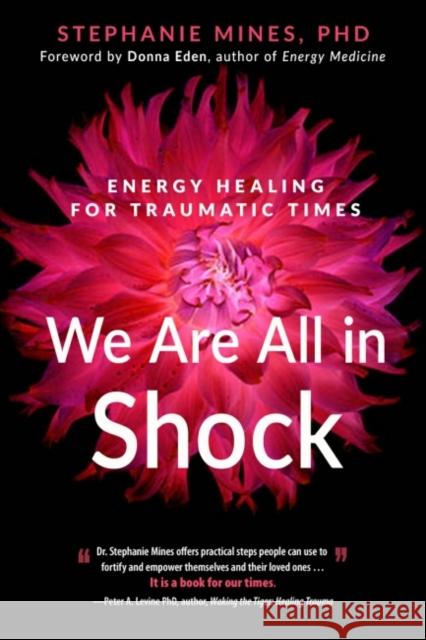 We are All in Shock: Energy Healing for Traumatic Times Stephanie (Stephanie Mines) Mines 9781632651952 New Page Books - książka