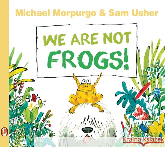 We Are Not Frogs! Michael Morpurgo 9781781125120 BARRINGTON STOKE (EDUCATIONAL) - książka