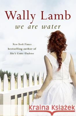 We Are Water Wally Lamb 9780007532865 HarperCollins Publishers - książka