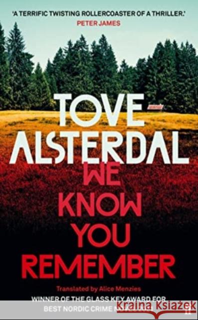 We Know You Remember Tove Alsterdal 9780571368914 Faber & Faber - książka