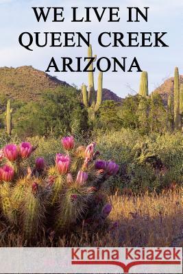 We Live In Queen Creek Arizona: If it were not for the Mafia we would most likely not have moved to Queen Creek Heath, Bernadette 9781492969075 Createspace - książka