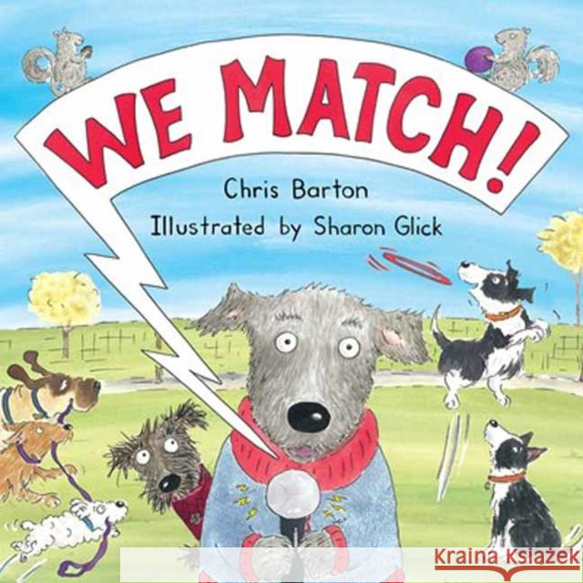 We Match! Chris Barton 9781662621062 Astra Young Readers - książka