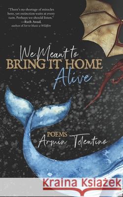 We Meant to Bring It Home Alive Armin Tolentino, Alternating Current 9781946580078 Alternating Current - książka