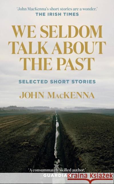 We Seldom Talk About the Past: Selected Short Stories John MacKenna 9781848408036 New Island Books - książka