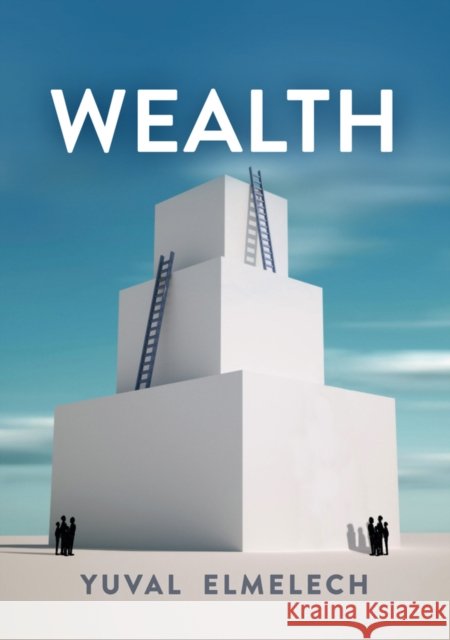 Wealth Yuval Elmelech 9780745697871 Polity Press - książka