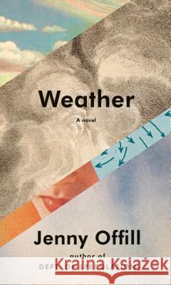 Weather Offill, Jenny 9780385351102 Knopf Publishing Group - książka