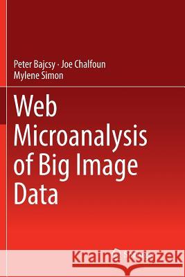 Web Microanalysis of Big Image Data Peter Bajcsy Joe Chalfoun Mylene Simon 9783319875330 Springer - książka