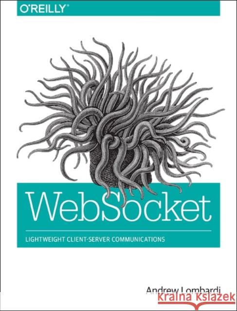 Websocket: Lightweight Client-Server Communications Lombardi, Andrew 9781449369279 John Wiley & Sons - książka