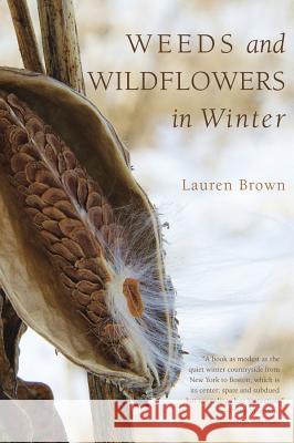 Weeds and Wildflowers in Winter Lauren Brown 9781581571776 Countryman Press - książka