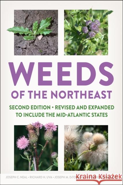 Weeds of the Northeast Joseph C. Neal Richard H. Uva Joseph M. Ditomaso 9781501755729 Comstock Publishing - książka