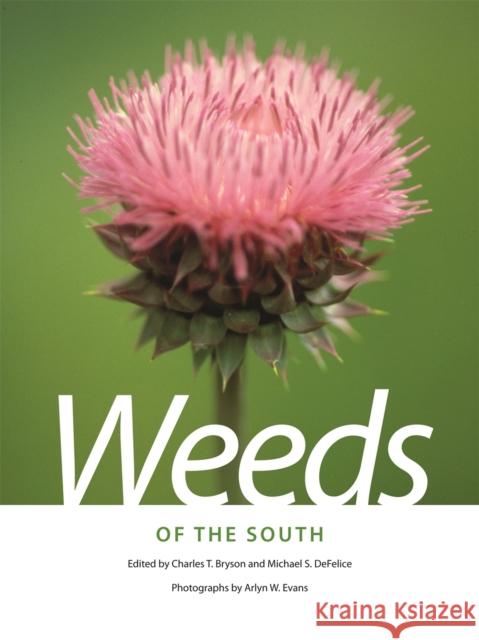 Weeds of the South Charles T. Bryson Michael S. DeFelice Arlyn W. Evans 9780820330464 University of Georgia Press - książka