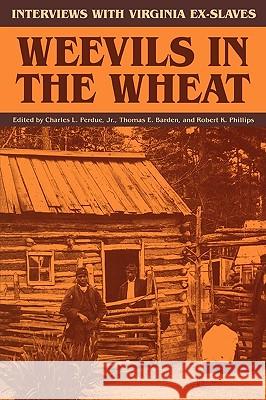 Weevils in the Wheat: Interviews with Virginia Ex-Slaves Charles L. Perdue Robert K. Phillips Thomas E. Barden 9780813913704 University of Virginia Press - książka