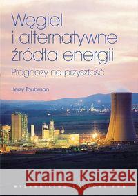 Węgiel i alternatywne źródła energii Taubman Jerzy 9788301166977 Wydawnictwo Naukowe PWN - książka