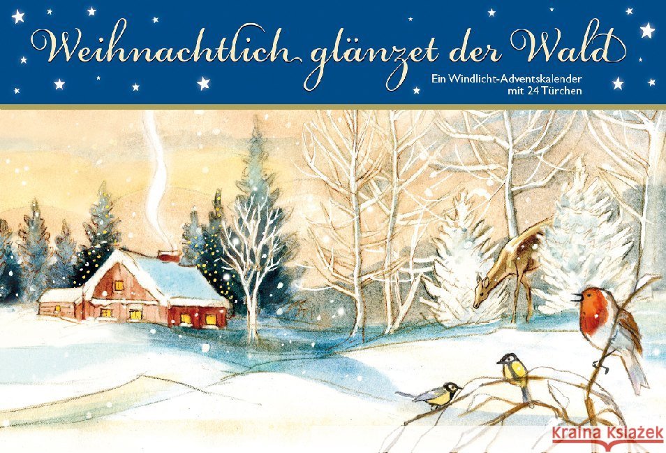 Weihnachtlich glänzet der Wald : Ein Windlicht-Adventskalender mit 24 Türchen  9783780613165 Kaufmann - książka