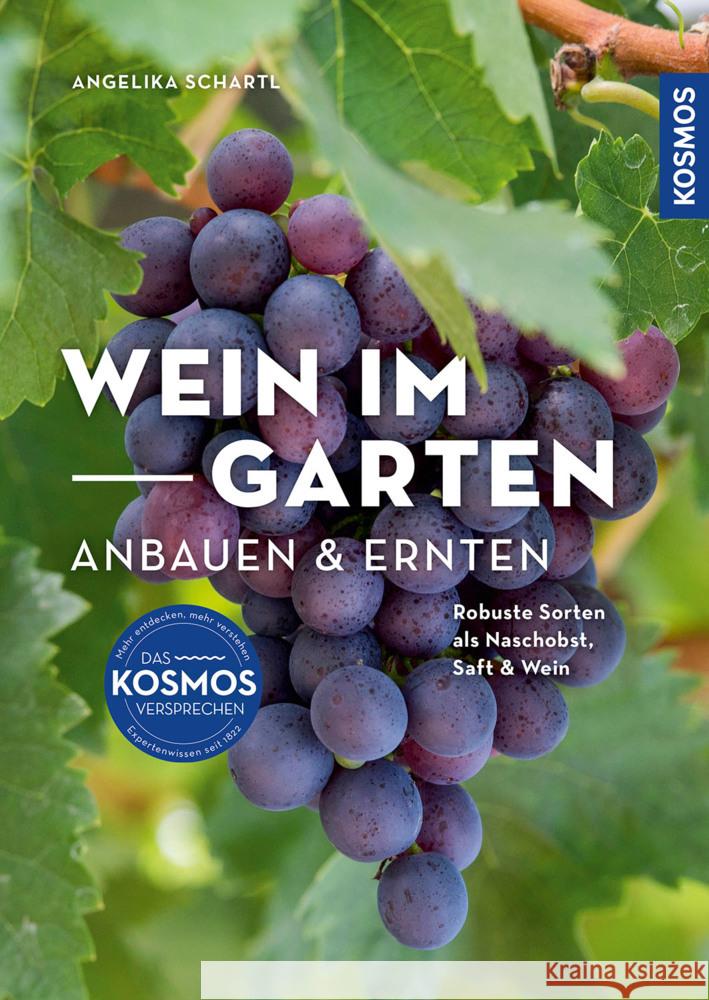 Wein im Garten anbauen & ernten Schartl, Angelika 9783440178553 Kosmos (Franckh-Kosmos) - książka