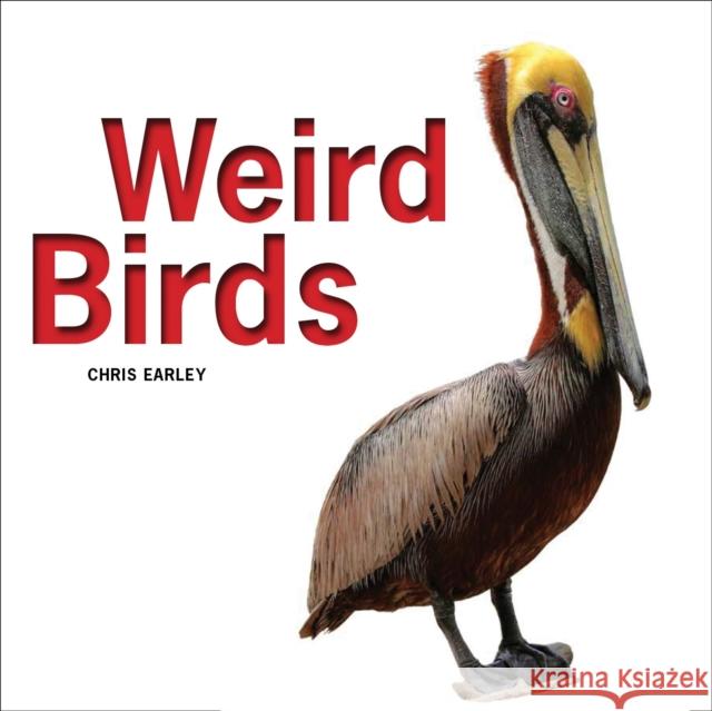 Weird Birds Chris Earley 9781770854413 Firefly Books - książka