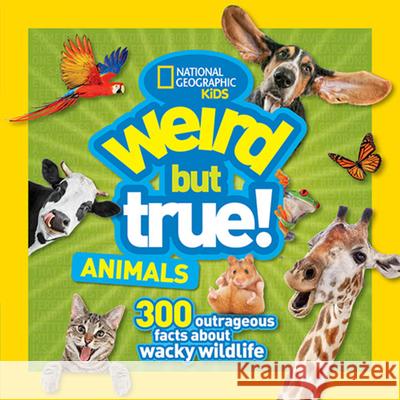 Weird But True Animals National Geographic Kids 9781426329821 National Geographic Society - książka