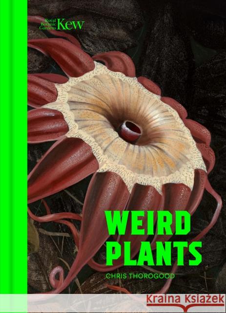 Weird Plants Chris Thorogood 9781842468562 Royal Botanic Gardens - książka