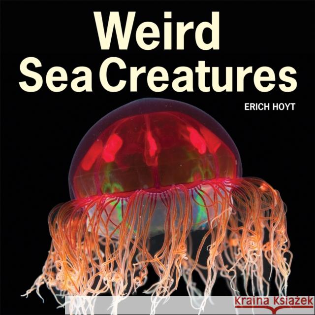 Weird Sea Creatures Erich Hoyt 9781770851917  - książka