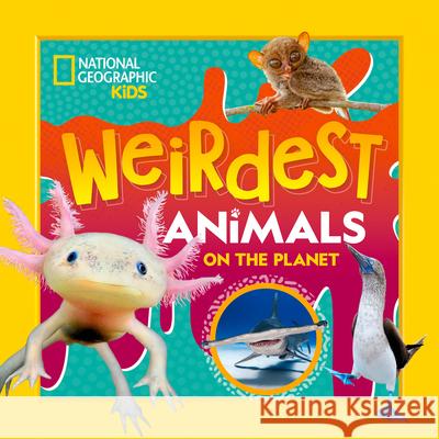 Weirdest Animals on the Planet National Geographic Kids 9781426375897 National Geographic Kids - książka