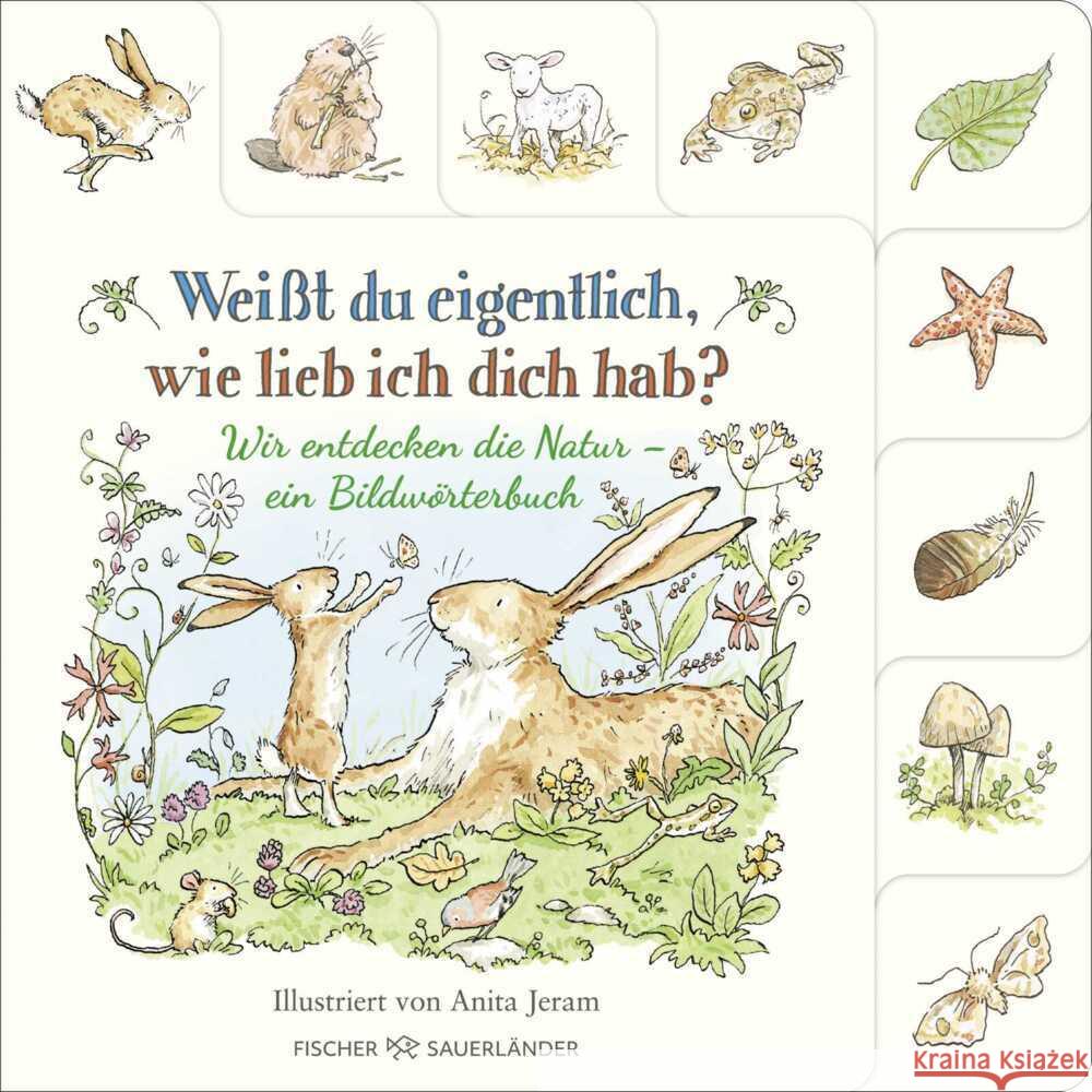Weißt du eigentlich, wie lieb ich dich hab? Wir entdecken die Natur McBratney, Sam 9783737376303 FISCHER Sauerländer - książka