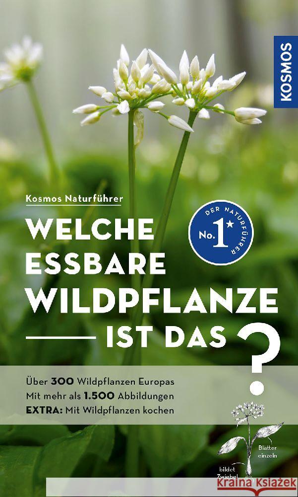 Welche essbare Wildpflanze ist das? Bastgen, Christa, Schröder, Berko, Zurlutter, Stefanie 9783440179994 Kosmos (Franckh-Kosmos) - książka