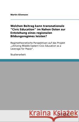 Welchen Beitrag kann transnationale 