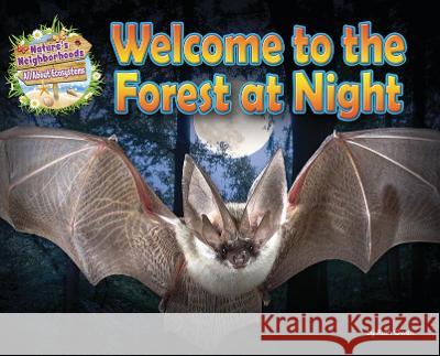 Welcome to the Forest at Night Ruth Owen 9781788563031 Ruby Tuesday Books - książka