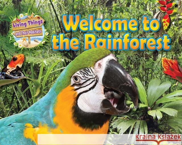 Welcome to the Rainforest Honor Head   9781911341543 Ruby Tuesday Books Ltd - książka