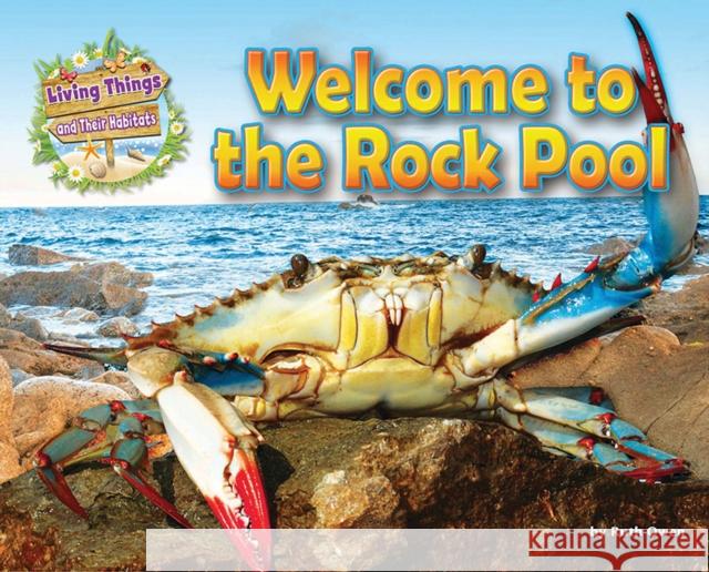 Welcome to the Rock Pool Ruth Owen 9781910549742 Ruby Tuesday Books - książka