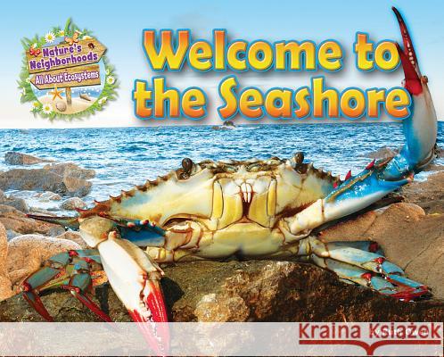 Welcome to the Seashore Ruth Owen 9781910549681 Ruby Tuesday Books - książka