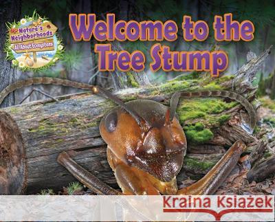 Welcome to the Tree Stump Ruth Owen 9781788562959 Ruby Tuesday Books - książka