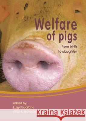 Welfare of Pigs: From Birth to Slaughter Luigi Faucitano Allan L. Schaefer 9789086860661 Wageningen Academic Publishers - książka