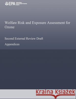 Welfare Risk and Exposure Assessment for Ozone Second External Review Draft U. S. Environmental Protection Agency 9781500563820 Createspace - książka